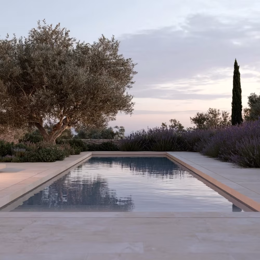 Piscine de jardin en Provence au crépuscule avec olivier et lavandes