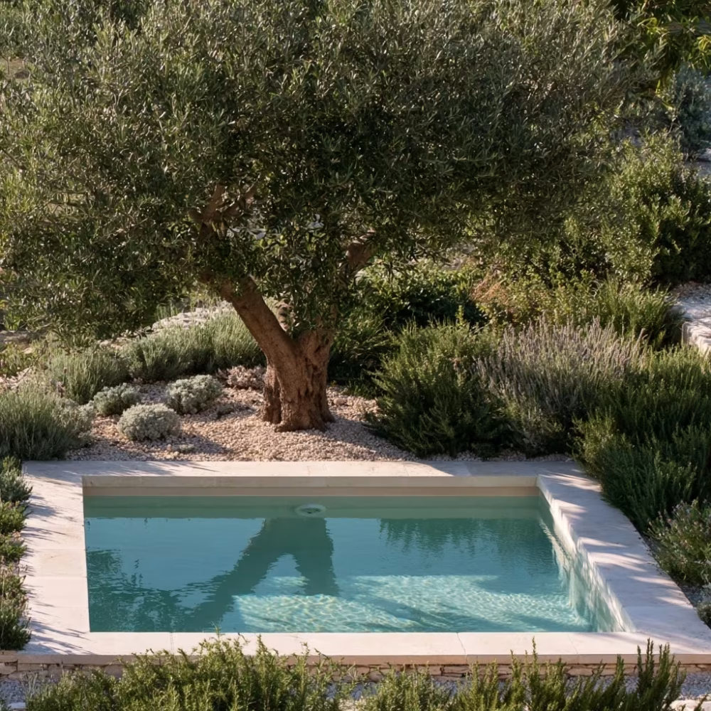 Entretien durable de piscine et jardin en Provence