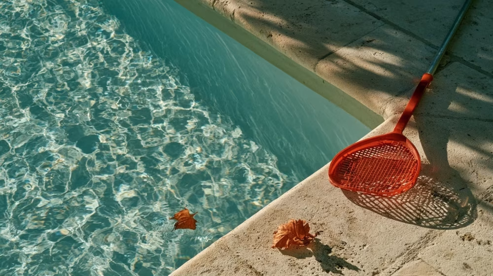 Épuisette retirant quelques feuilles à la surface d’une piscine claire